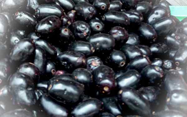 बाजार में जामुन की कीमत बाजार में जामुन की कीमत