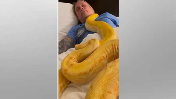 अजगर साथ सो रहा था शख्स