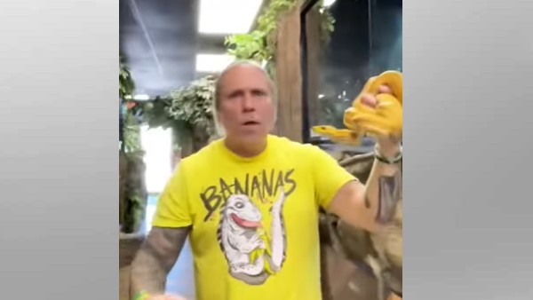 कैसे शिकार करते हैं अजगर?