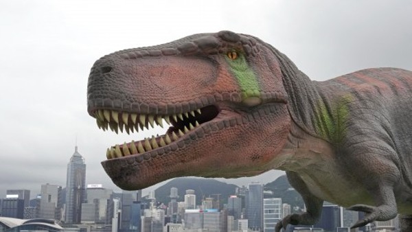 जीवाश्म इतिहास में पहली बार!