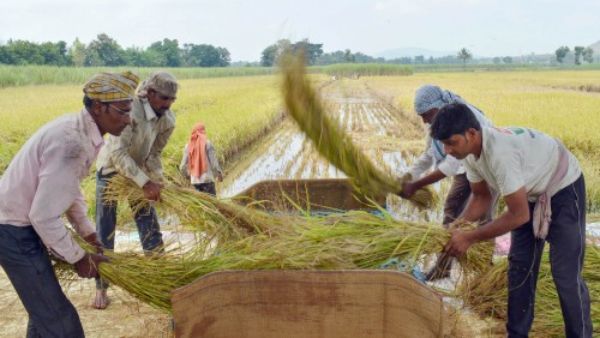निर्यात पर नहीं लगेगा प्रतिबंध