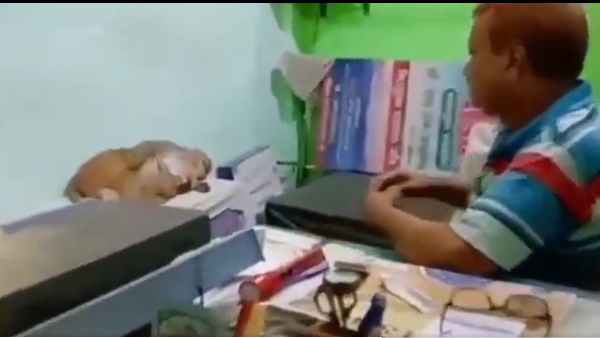 पूरे इलाज के दौरान बंदरिया बिल्कुल शांत रही
