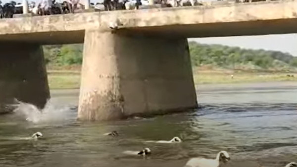 अधिकतम तापमान 45 डिग्री के आस-पास 