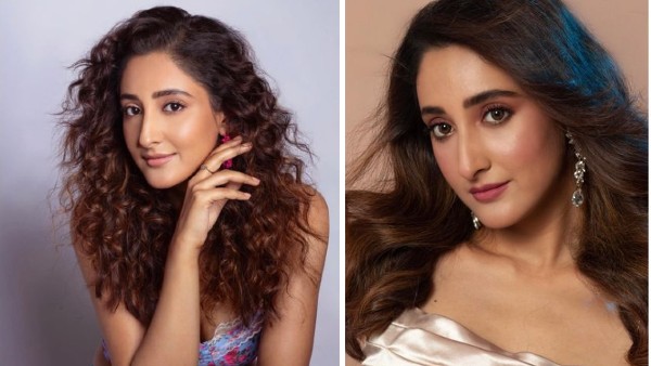 कई बड़े शोज में किया काम