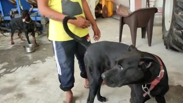 हाथ से खाना खिलाते थे सिद्धू