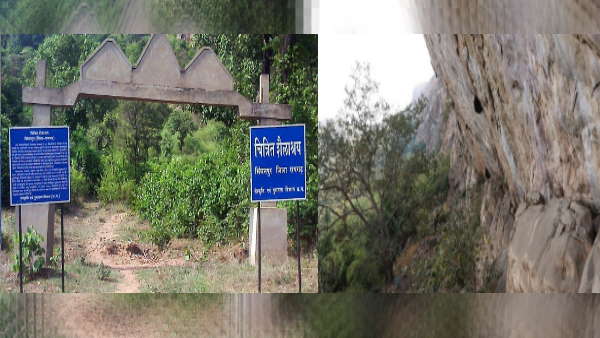 घने जंगलों के बीच दबा है गहरा राज 