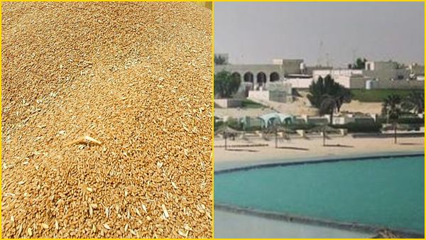 भारत से 144 मिलियन डॉलर मूल्य के अनाज का आयात किया