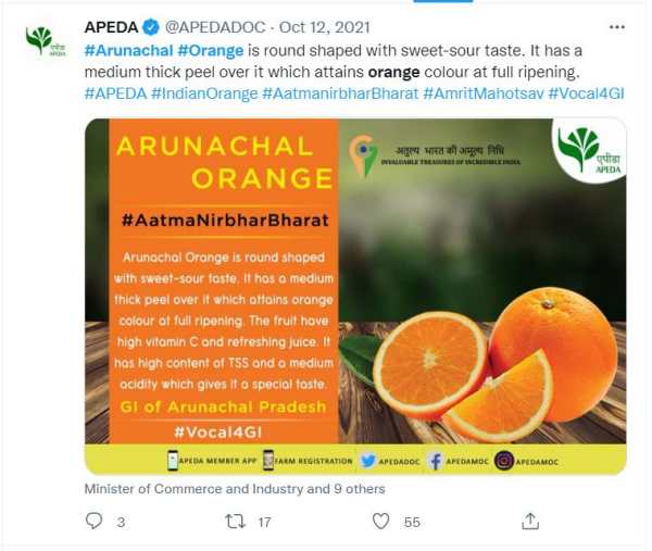 अरुणाचल के संतरे की दुबई में डिमांड अरुणाचल के संतरे की दुबई में डिमांड