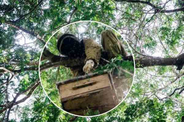 अनुदान के लिए कौन से डॉक्यूमेंट चाहिए