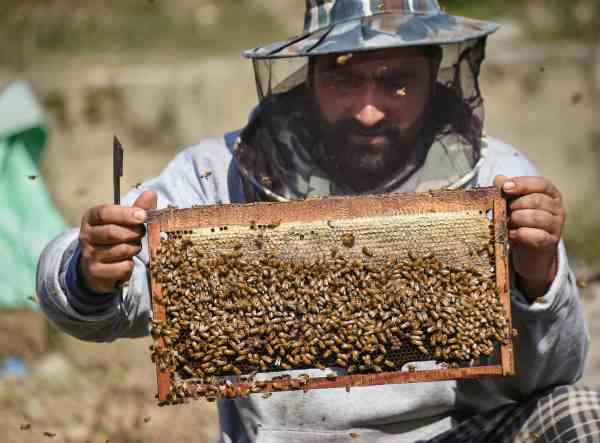  कौन ले सकता है अनुदान