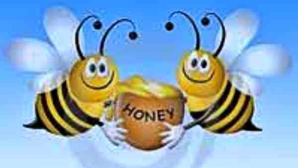 कहां जमा होगा आवेदन