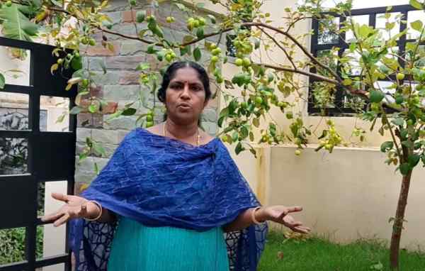 सब्जियों और फल की खेती