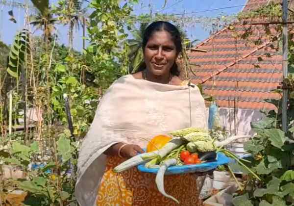 छत पर हेल्दी सब्जियों की खेती