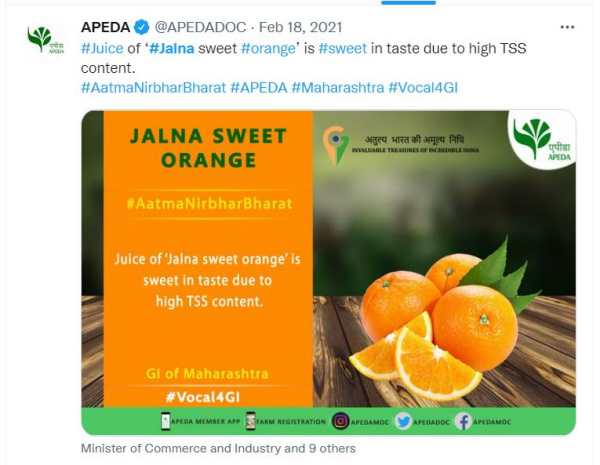 जालना के संतरे छिलकों की मोटाई के लिए प्रसिद्ध जालना के संतरे छिलकों की मोटाई के लिए प्रसिद्ध