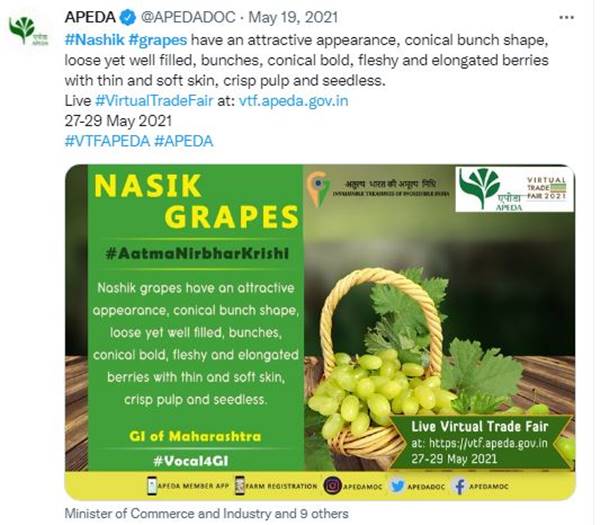 नासिक के अंगूरों की विशेषता