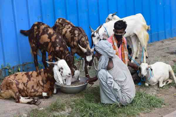 क्या है योजना का प्रारूप