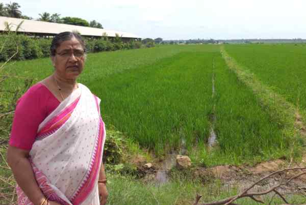 खेती के खर्च में 80% तक गिरावट खेती के खर्च में 80% तक गिरावट