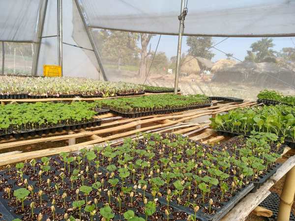 लाइटिंग को कंट्रोल करने के विकल्प