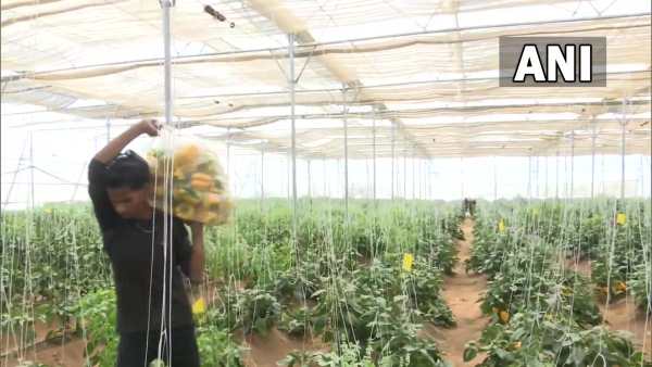 सूरज की रौशनी का पूर्वानुमान !