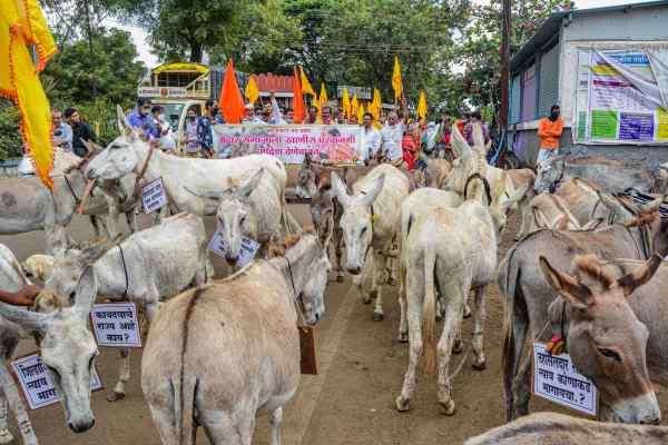 2.3 एकड़ जमीन पर शुरू किया इसीरी फार्म्स