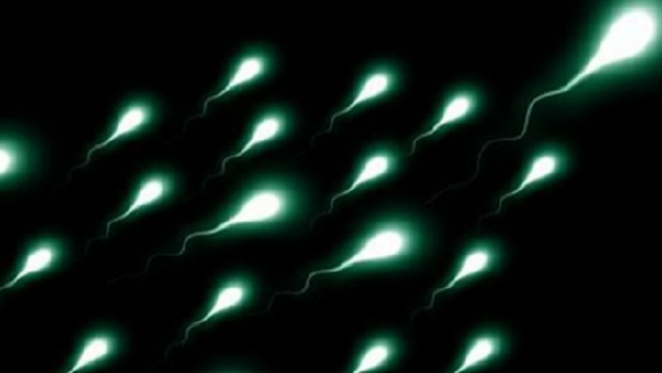 जेम्स मैक को बच्चों से मिलने की परमिशन नहीं दी 