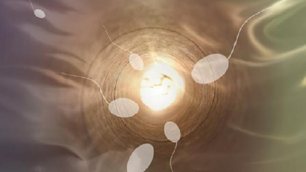 जेम्स ने चार बच्चों से मिलने के लिए संपर्क किया