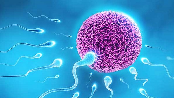 फ्रेजाइल X सिंड्रोम से ग्रसित हैं जेम्स