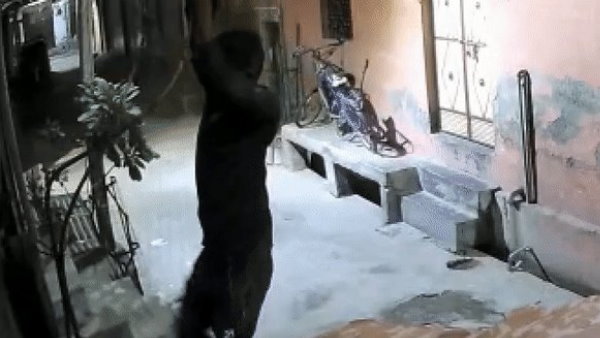 बिजली के तारों के सहारे घर में दाखिल हुआ 'स्पाइडर-मैन' चोर