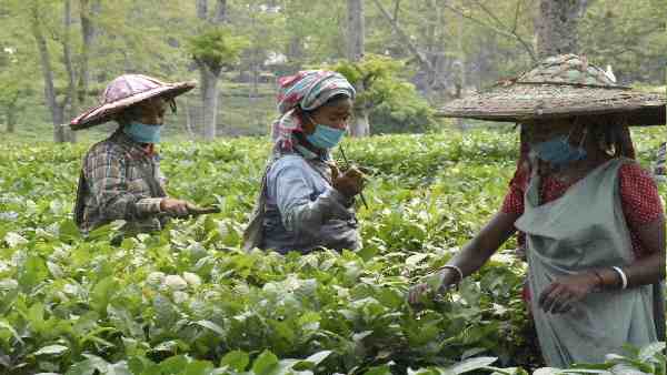 यूरोपियन यूनियन के स्टैंडर्ड को मानने वाले देशों का नियम सख्त