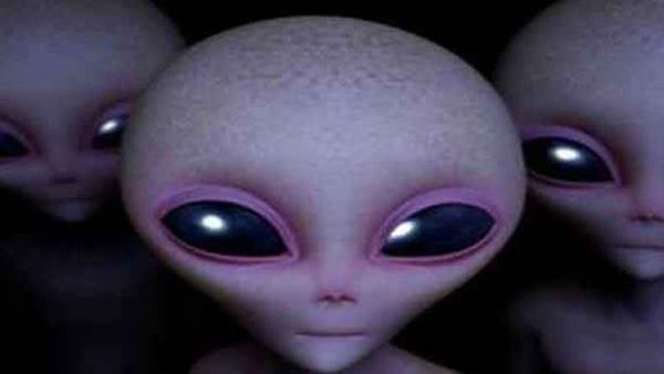 अमीनो एसिड द बिल्डिंग ब्लॉक ऑफ लाइफ