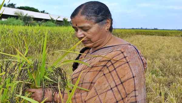 saroja patil davangere saroja patil davangere