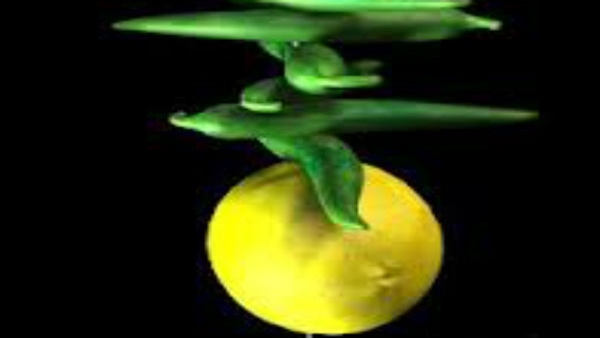 क्या होता है नजरबट्टू ?