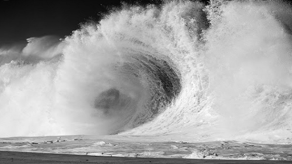 'पिछले साल भी दिखे थे'