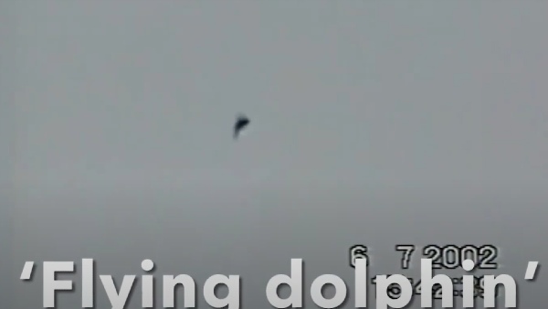 2002 की घटना 2002 की घटना