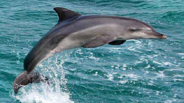 फिल्म मेकर्स के साथ शेयर कर रहे डिटेल फिल्म मेकर्स के साथ शेयर कर रहे डिटेल