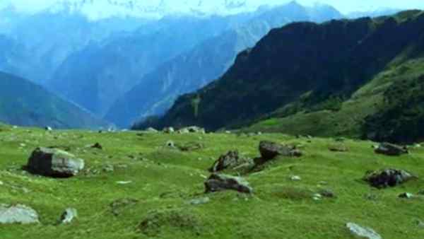 ऐसे वातावरण में खिलता है ब्रह्म कमल