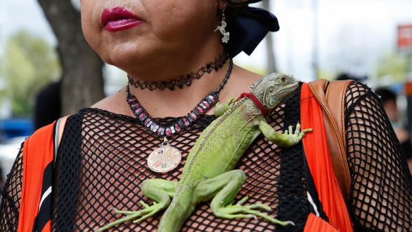 तकिए के नीचे मिली थी किताब तकिए के नीचे मिली थी किताब