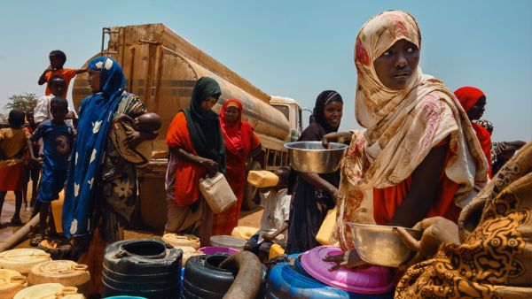 मारे जा चुके हैं 30 लाख से ज्यादा जानवर