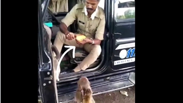बंदरों को सेब काटकर खिलाते दिखे सिपाही मोहित