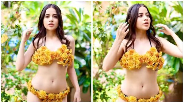 बिग बॉस में आई थीं नजर बिग बॉस में आई थीं नजर