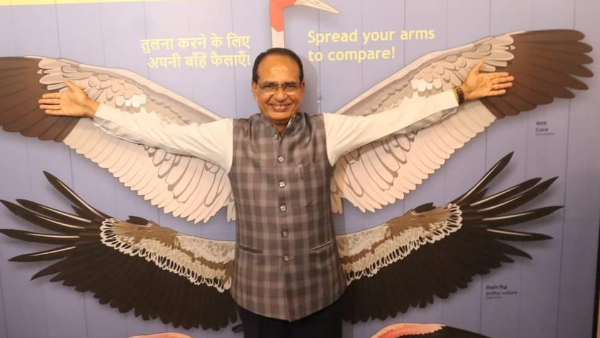 सवा साल से पेड़ लगा रहा हूं : CM शिवराज