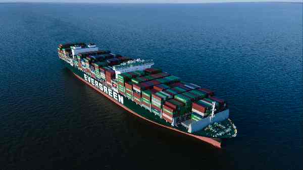 मिस्र ने भी तुर्की जा रहे भारतीय गेहूं की 'एंट्री' रोकी 