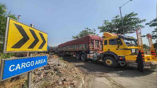 दुनिया का सबसे बड़ा गेहूं आयातक है मिस्र
