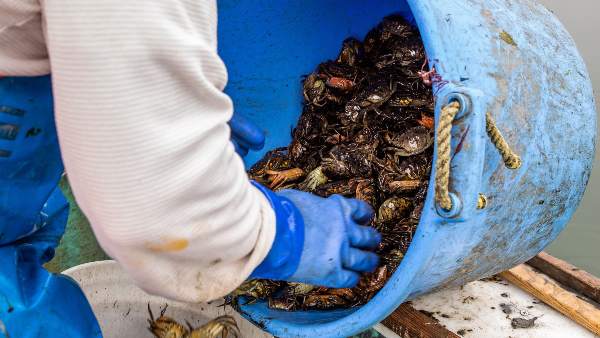 मालिक ने कही ये बात