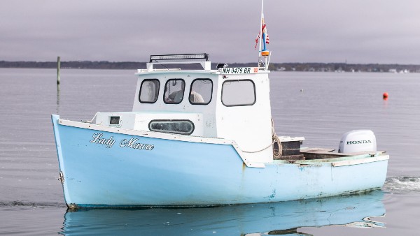 बहुत से लोगों ने किया विरोध