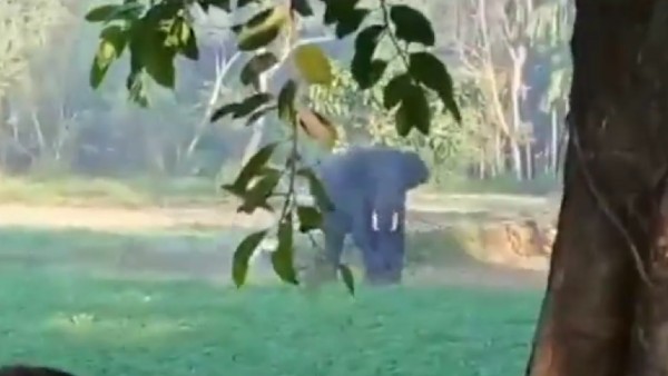 124 मील दूर से आया