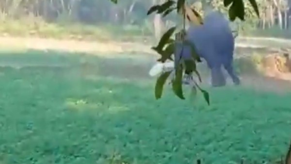 छत्तीसगढ़ में भी ऐसी घटना