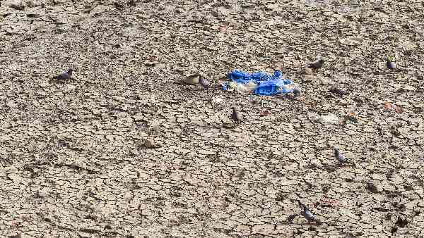 दिल्ली जल बोर्ड ने पानी की सप्लाई को लेकर जारी की चेतावनी