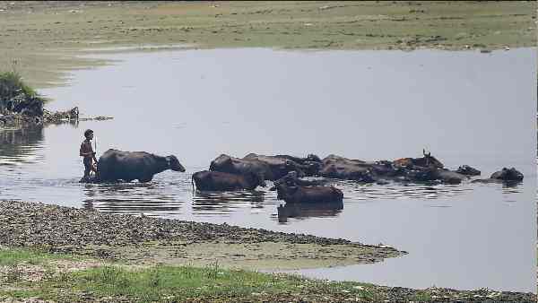 भूमिगत जल स्तर भी खतरनाक स्थिति में