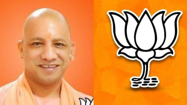 yogi